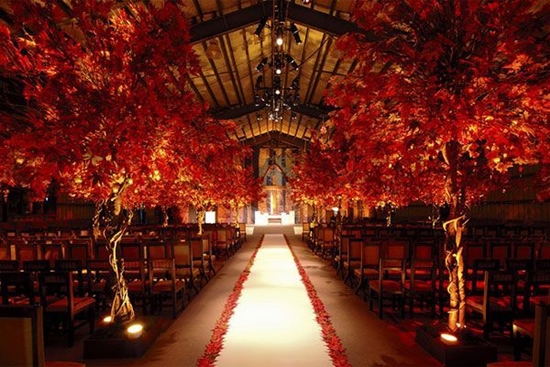 Fancy Face | Fall Wedding