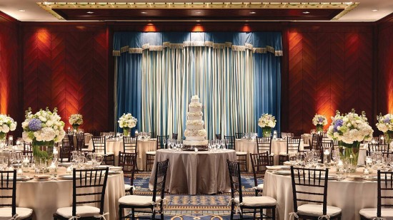 Fancy Face | Four Seasons