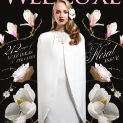 Fancy Face | Wedluxe Winter/ Spring 2015