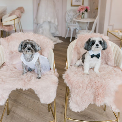 Toronto Bridal Suite | Rosé Room