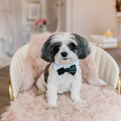 Toronto Bridal Suite | Rosé Room